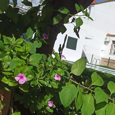 Villa Casa Turquesa Valencina de la Concepción Exterior foto