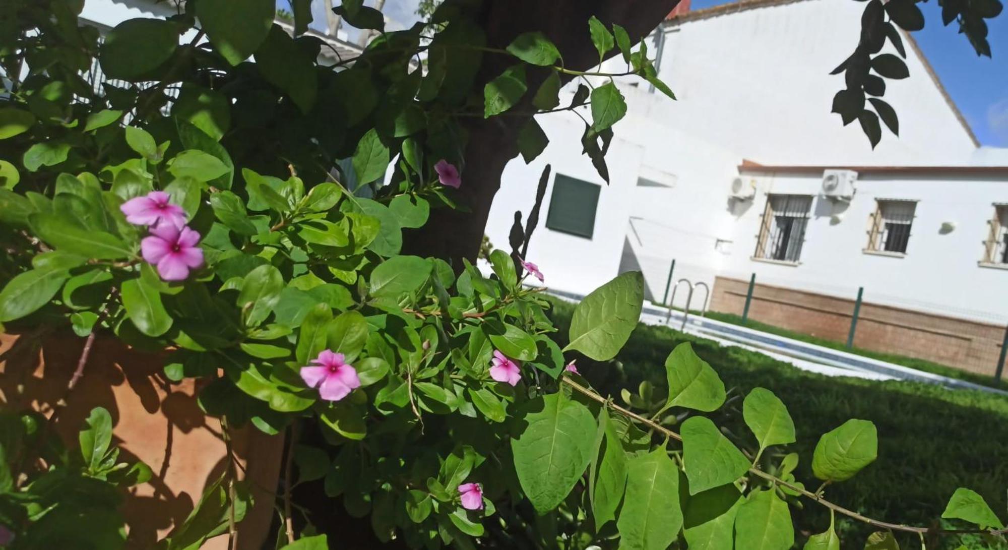 Villa Casa Turquesa Valencina de la Concepción Exterior foto